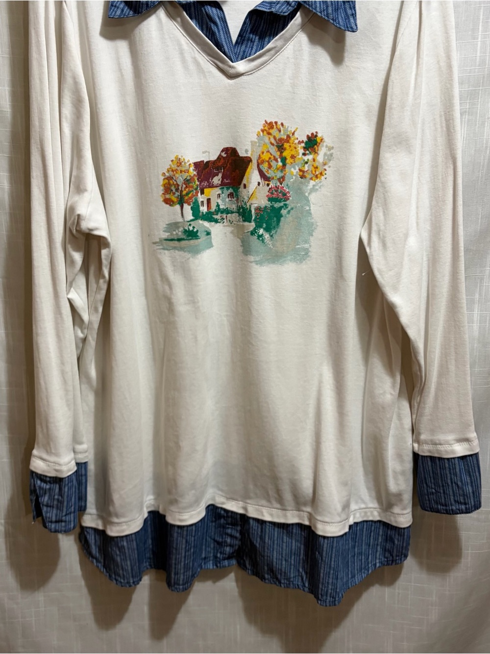Graphic long sleeve collared shirt XL